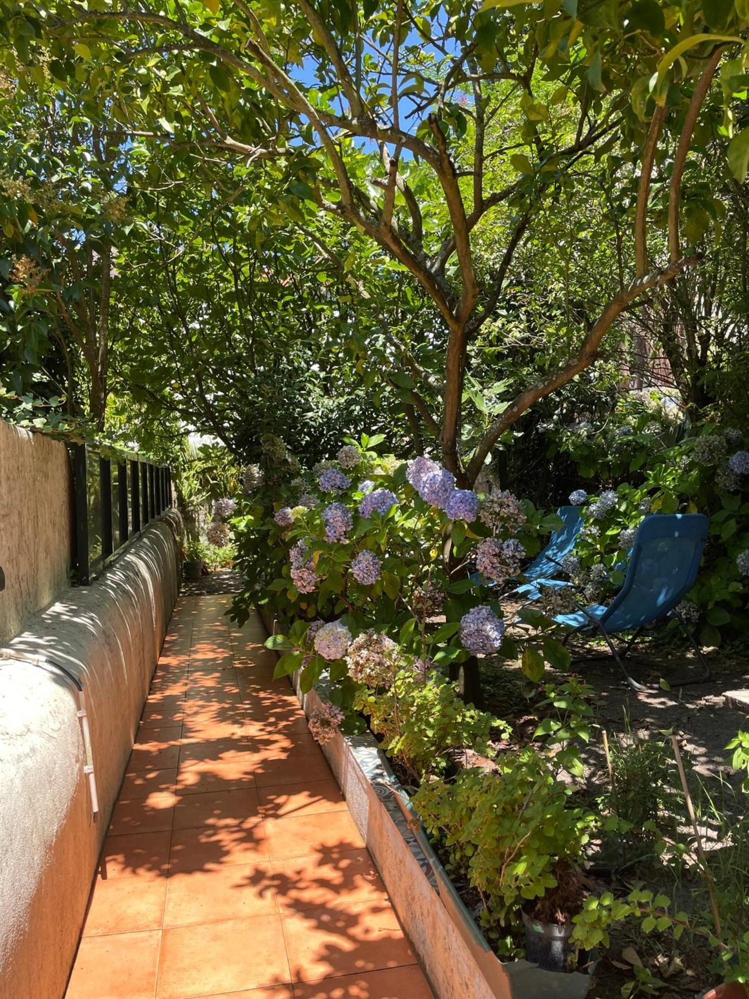 ポルトCasa Portugueza Experienceアパートメント エクステリア 写真